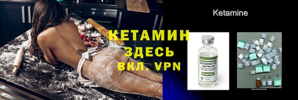 шишки Лабытнанги