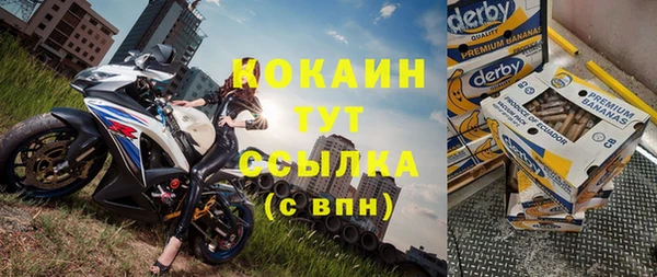 шишки Куйбышев