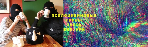 стафф Ладушкин