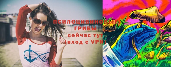шишки Куйбышев