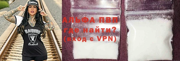 шишки Лабытнанги