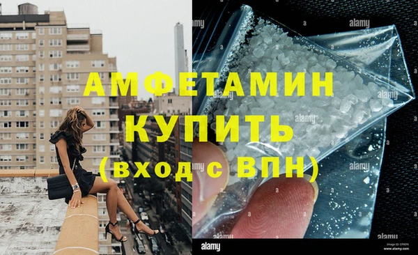 шишки Лабытнанги