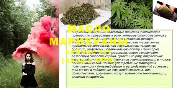 шишки Лабытнанги