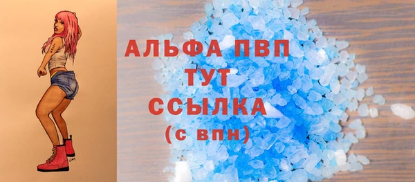 стафф Ладушкин