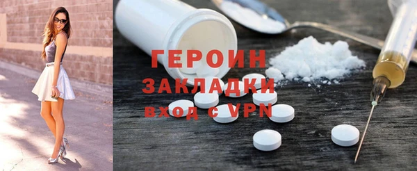 шишки Лабытнанги