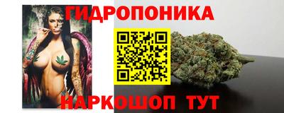 ALPHA PVP Гусев