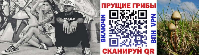 Галлюциногенные грибы Magic Shrooms  Мелеуз 