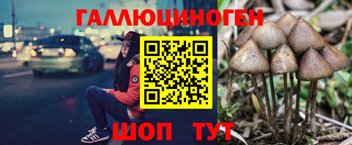 Галлюциногенные грибы мухоморы Мелеуз