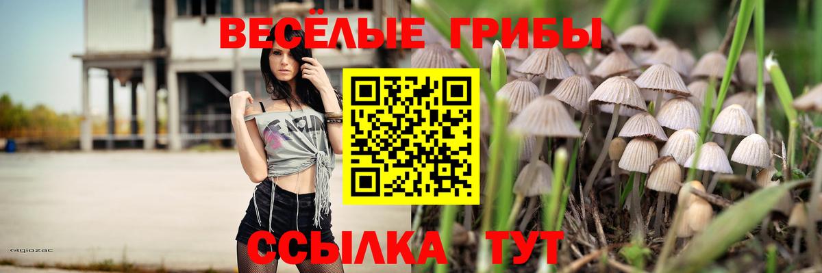Галлюциногенные грибы Psilocybe  Вход с VPN  Галлюциногенные грибы Cubensis  Мелеуз 